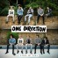 One Direction CD singolo: Steal My Girl