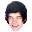 One Direction: Maschera Harry Styles