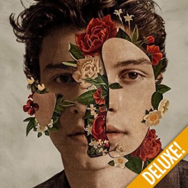CD SHAWN MENDES