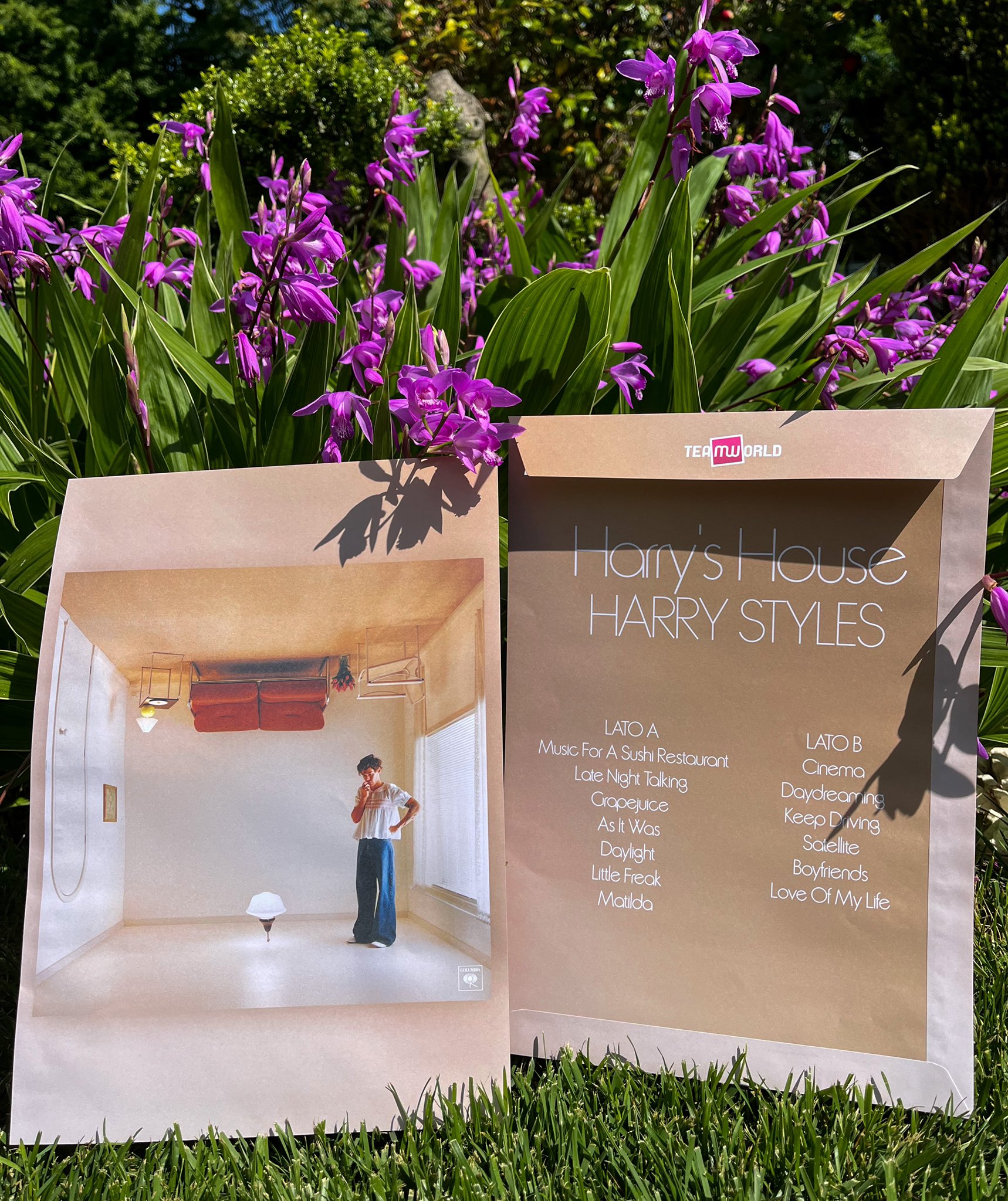 Ordina ora il Vinile di Harry Styles - Harry's House